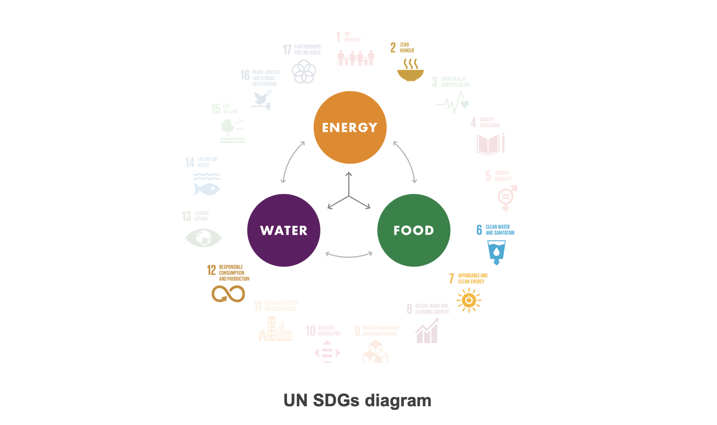 UN SDG diagram Oman