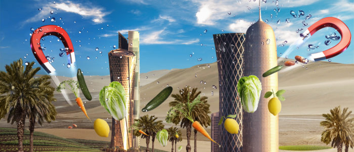 Qatar hero landscape