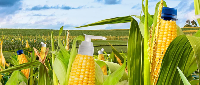 Corn with either lid or dispenser on top