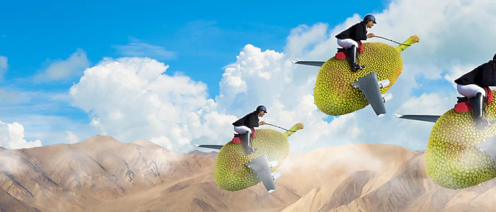 Three giant jackfruits each with airplane wings
